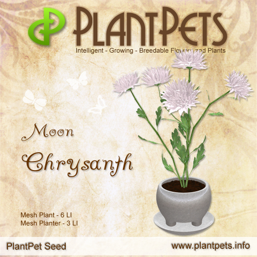PlantPet Seed [Chrysanth *Moon*]