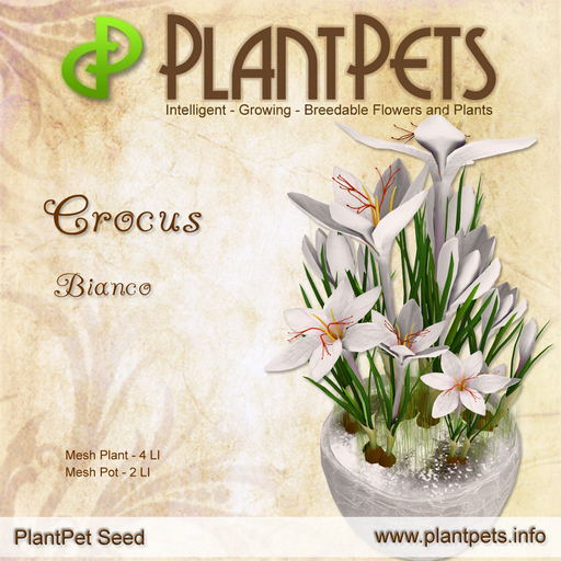 PlantPet Seed [Crocus *Bianco*]
