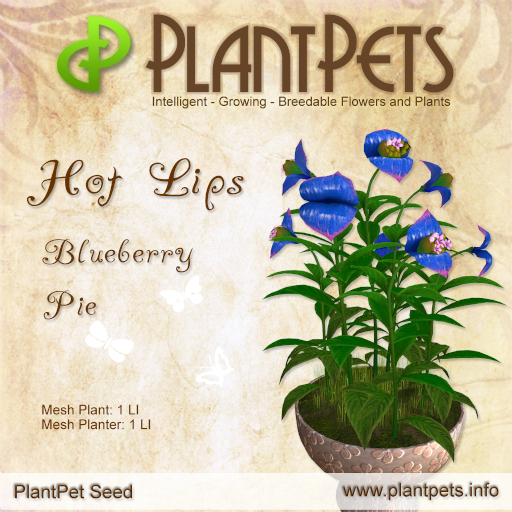 PlantPet Seed [Hot Lips *Blueberry Pie*]