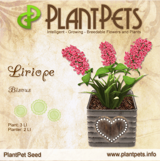 PlantPet Seed [Liriope *Bisous*]