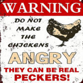 Humorous Poster-Angry Chickens