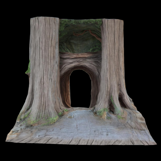{S} Full Perm Old Tree Wood Entrance 02