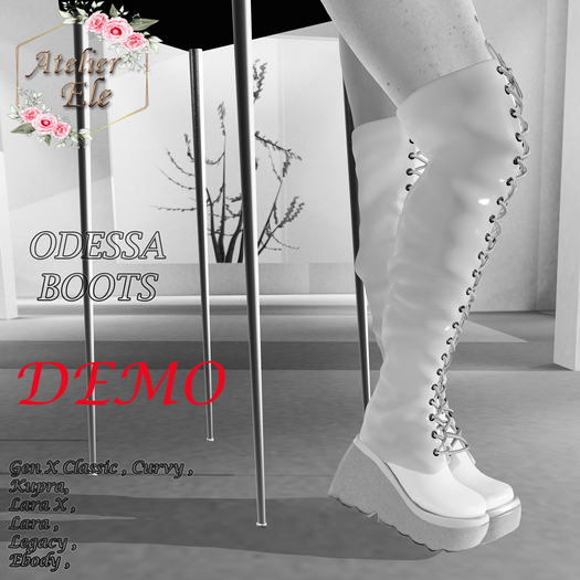 {AE} [ DEMO ] ODESSA  BOOTS