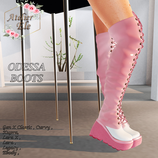 {AE}  ODESSA  BOOTS