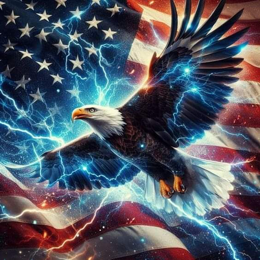 Red , White, Blue Eagle