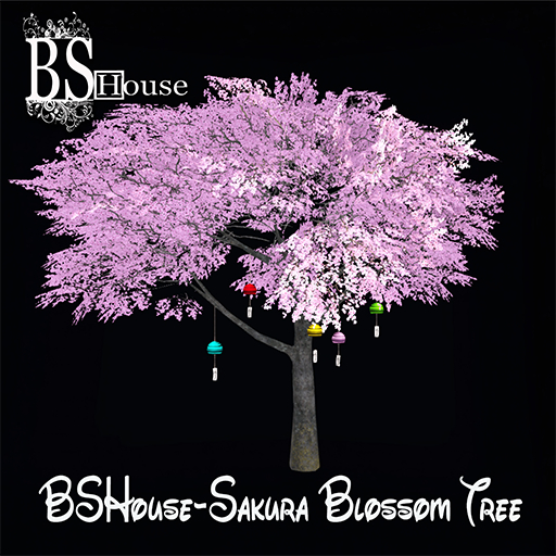 BSHouse-Sakura  Blossom Tree