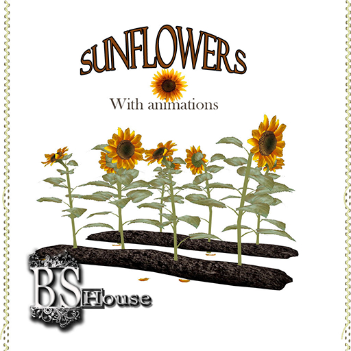 BSHouse Sunflowers