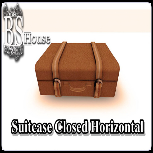 BSHouse- suitcase closed horizontal