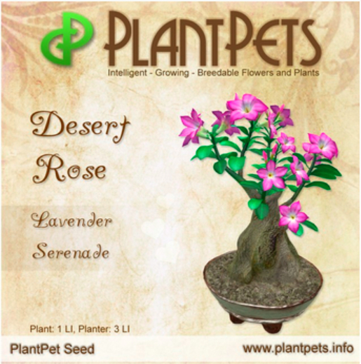 PlantPet Seed [Desert Rose *Lavender Serenade*]