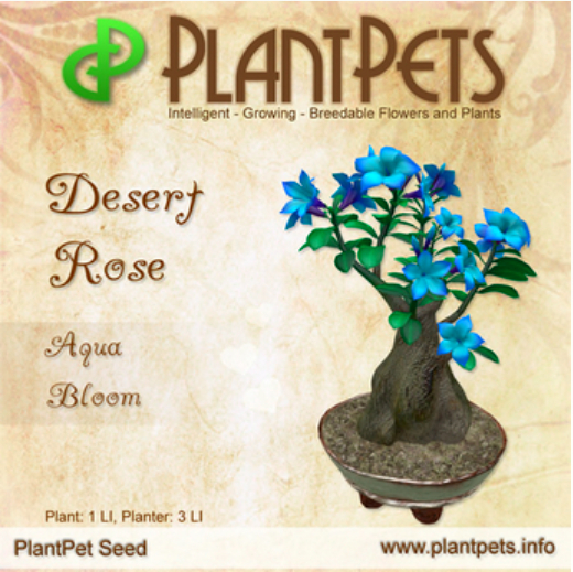 PlantPet Seed [Desert Rose *Aqua Bloom*]