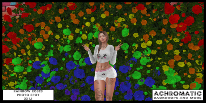 [A] Rainbow Roses Photo Spot