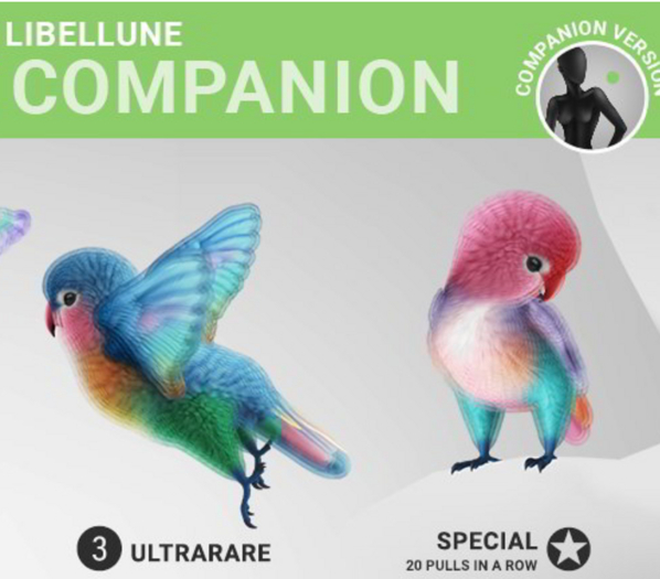 SEmotion Libellune Royal Parrot Companion ULTRARARE 03