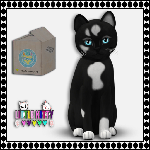 KittyCatS Box - (2024) CAMP MEOW - PURPLE/Genesis - Domino V F