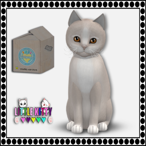 KittyCatS Box - (2024) CAMP MEOW - PURPLE/Genesis - Pearl II F