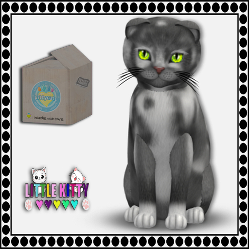 KittyCatS Box - (2024) CAMP MEOW - PURPLE/European Shorthair -