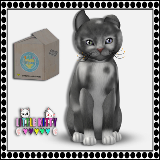 KittyCatS Box - (2024) CAMP MEOW - PURPLE/European - Grey & Whi