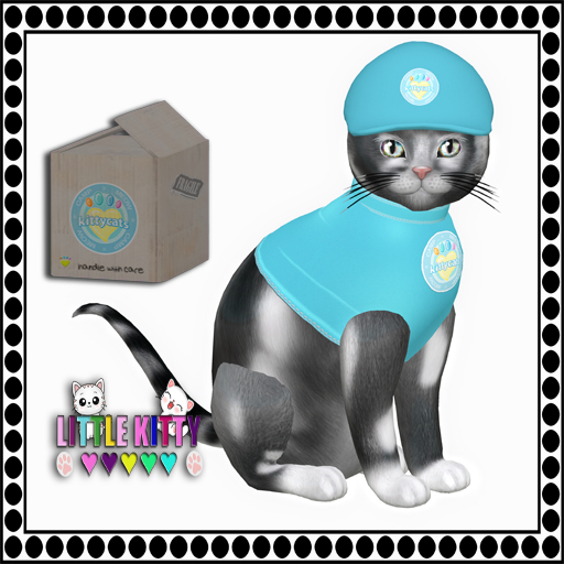 KittyCatS Box - (2024) CAMP MEOW - TEAL/British Shorthair - Sla