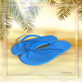 Blue Flip Flops LaraX