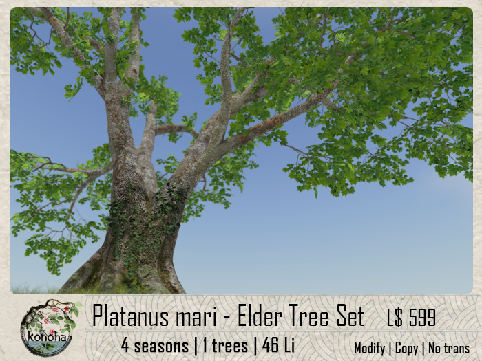 Konoha - Platanus mari - Elder Plane Set [vcp.010u]