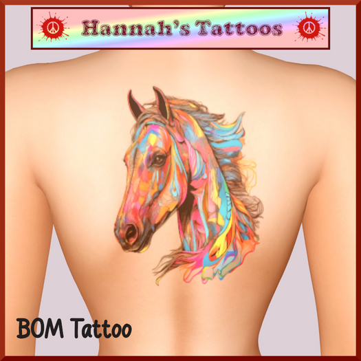 Colorful Horse Back and Feathers
