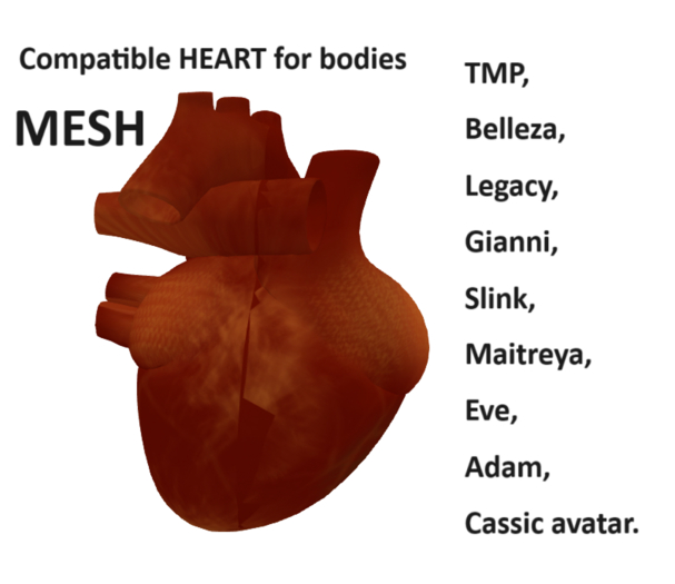@MA@ Heart Mesh