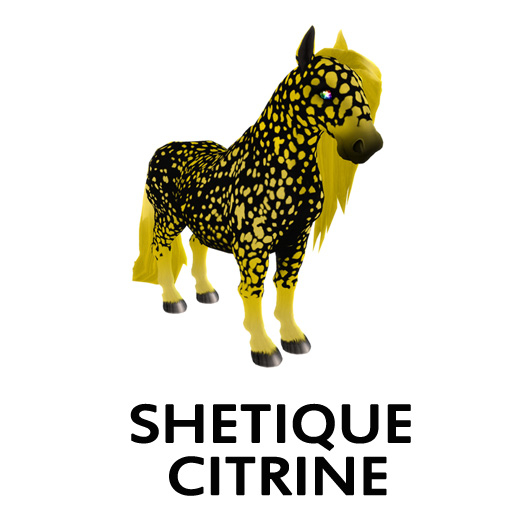 Shetque Citrine F Dbl