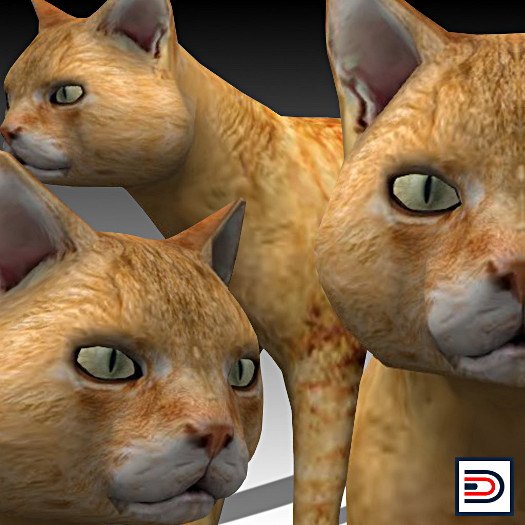 [Danielito] Orange Tabby Cat