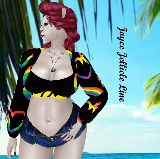 Black Velvet Top