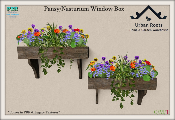 UR Pansy/Nasturium Window Box 