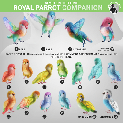 SEmotion Libellune Royal Parrot Companion COMMON 06