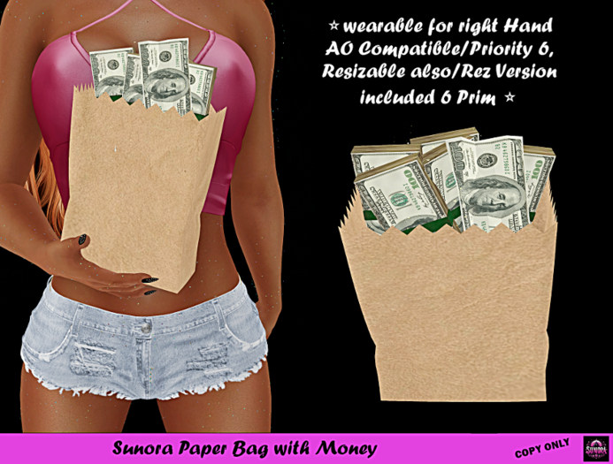 Sunora Paper Bag with Money