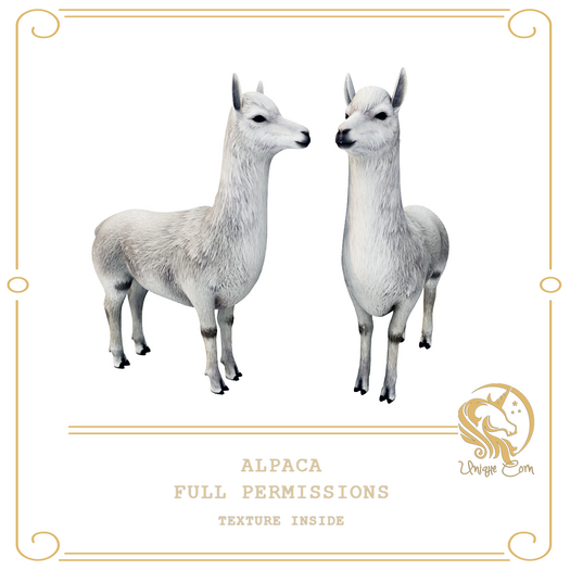 Full Perm Alpaca