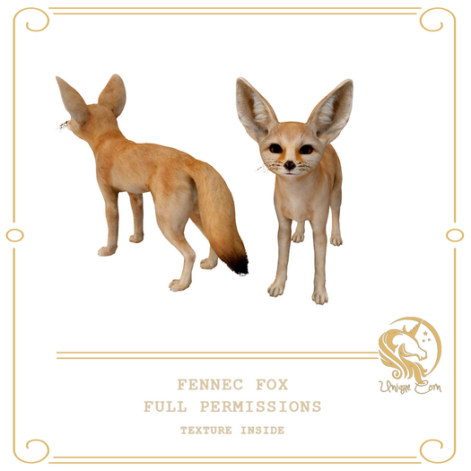 Full Perm Fennec Fox