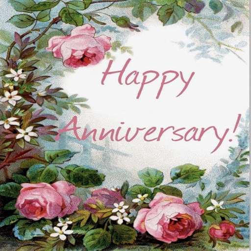 happy anniversary roses
