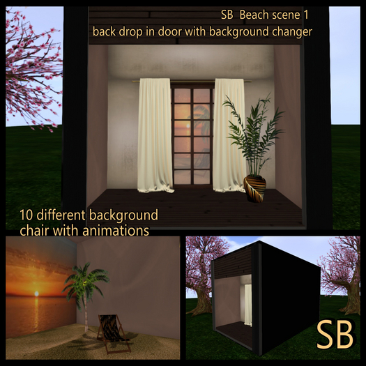 SB  Beach scene 1 back drop in door with background changer