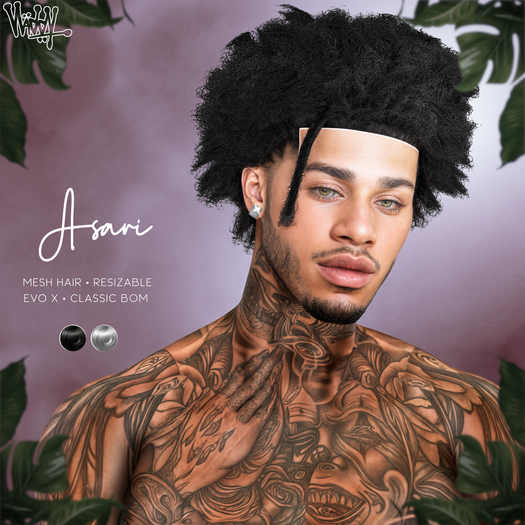 Vladdy // "Asari" Afro (Fatpack) (EVO X + CLASSIC BOM)
