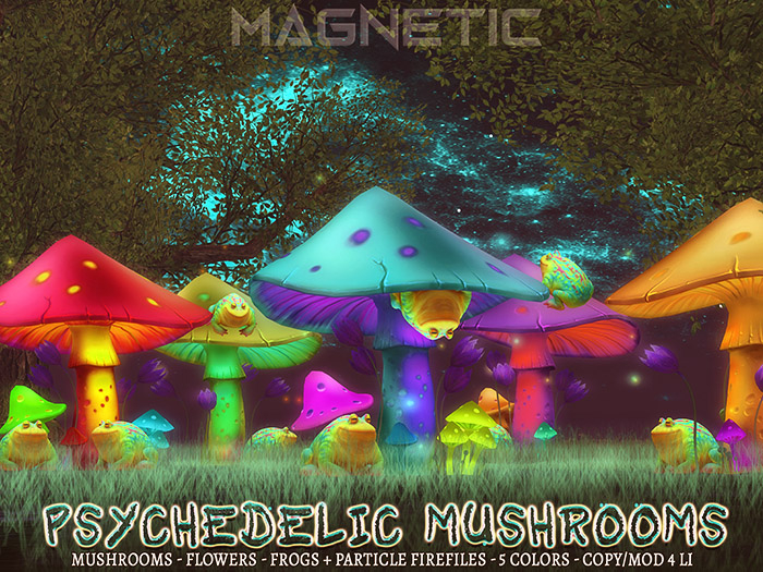 Magnetic - Psychedelic Mushrooms