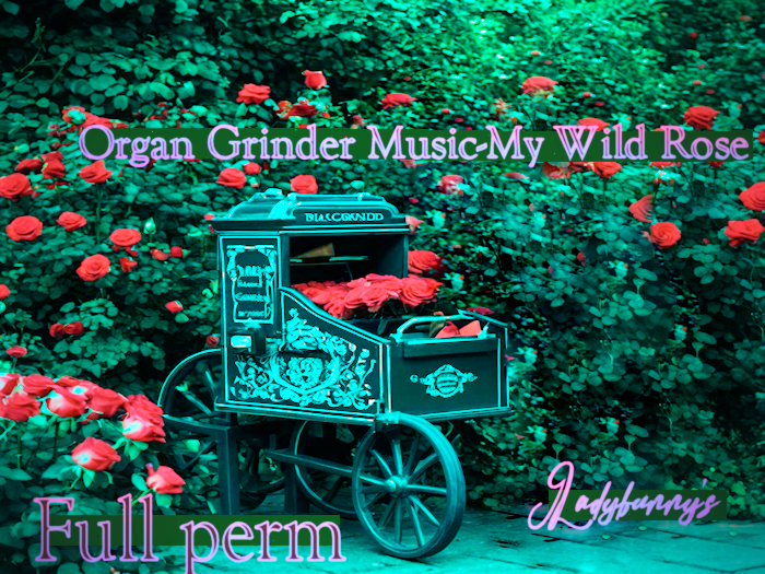 Bunny's sounds -Organ Grinder-My Irish Rose