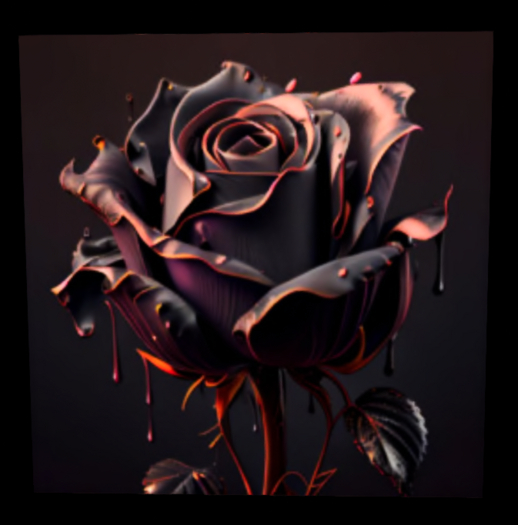 Black&Pink Rose Picture