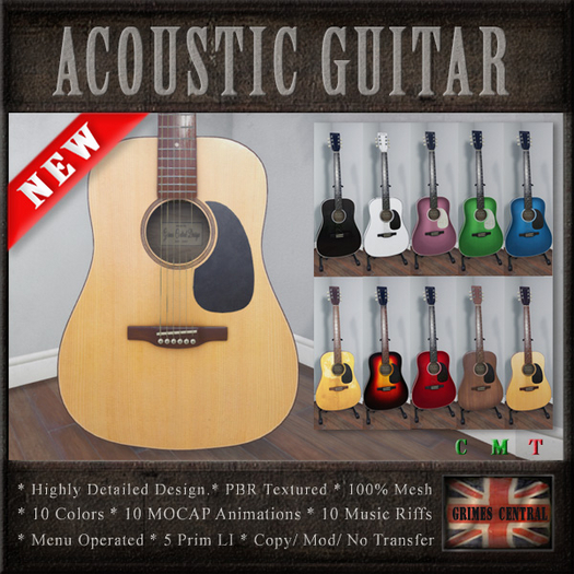 Acoustic Guitar