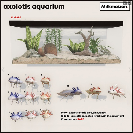 (Milk Motion) Axolotls aquarium - Full Set / Complete Set