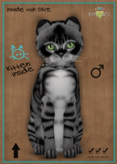 MEGAPUSS: KittyCatS Box - Australian Mist - Black - MegaPuss