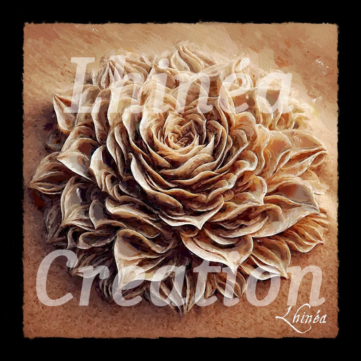 Desert Rose