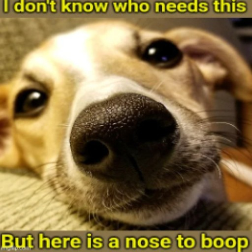 Nose booper -- Rebo Market