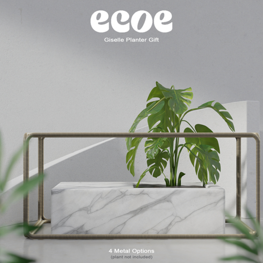 [ecoe] Giselle Planter Gift