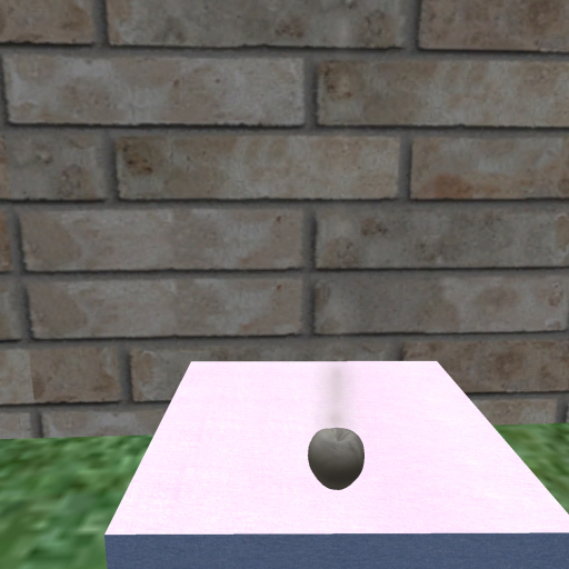 {Papillon} Ma/Sma/Nor/Bye/Ladybug/RainbowB Cocoon