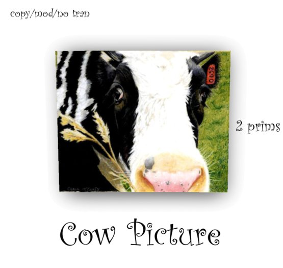 Cow Picture