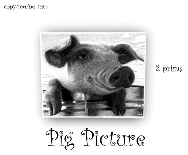 Piggy Picture