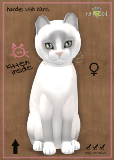 MEGAPUSS: KittyCatS Box - Snowshoe - Lilac - MegaPuss