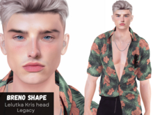 -[Stanley] Breno Shape Kris - Lelutka Kris Head Evox